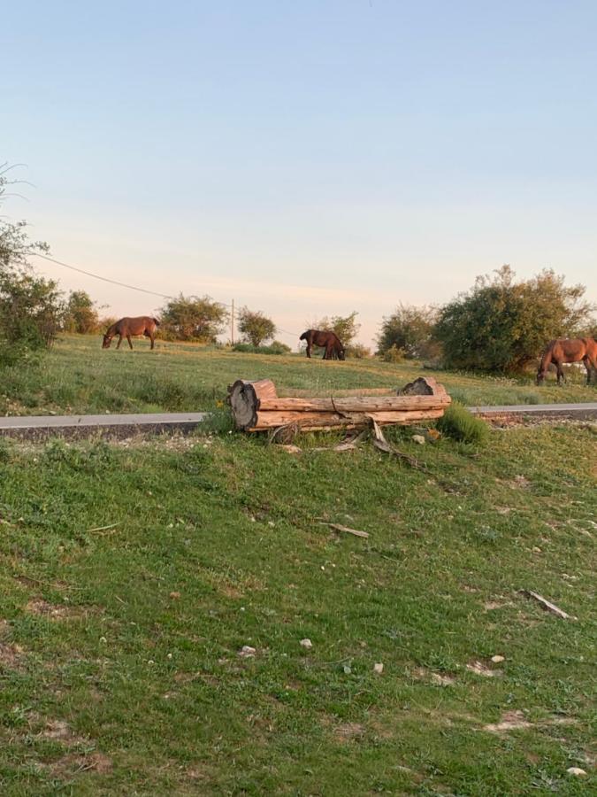 Cabanas Buenache Buenache de la Sierra Luaran gambar